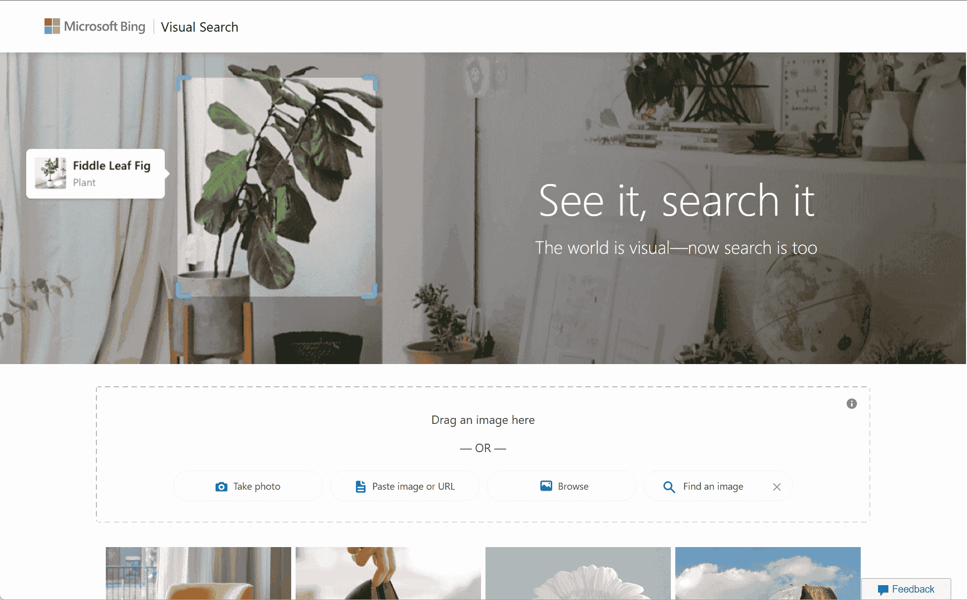 Bing visual search