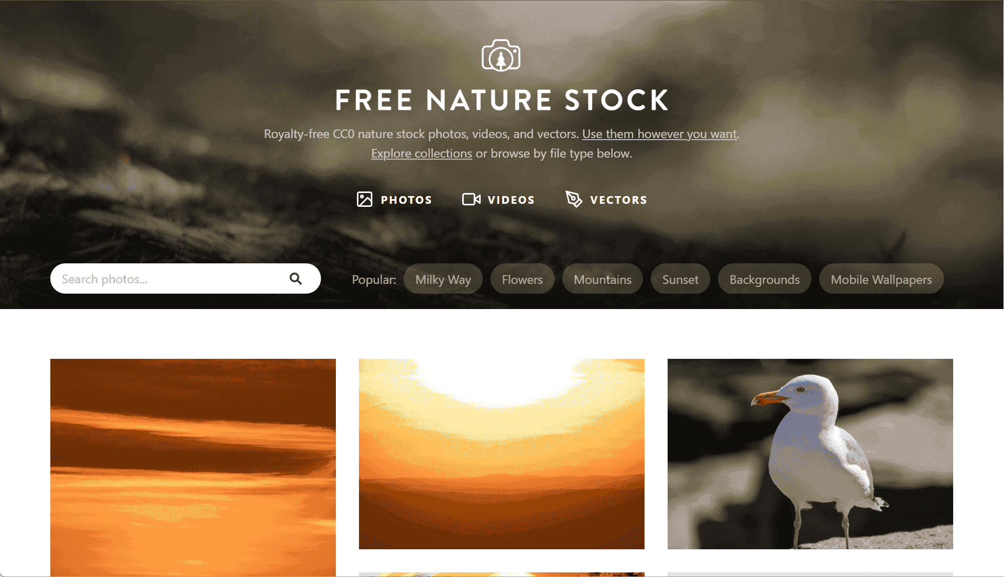 Free Nature Stock